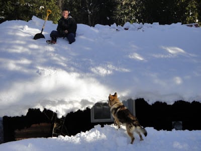 A break from shovelling at Wild Bear Lodge