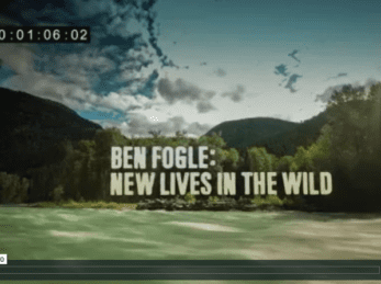 New Lives in the Wild at Wild Bear Lodge