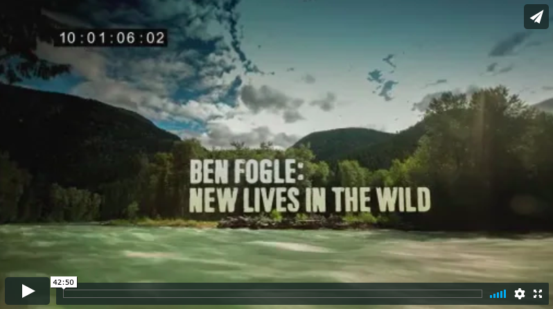 New Lives in the Wild at Wild Bear Lodge