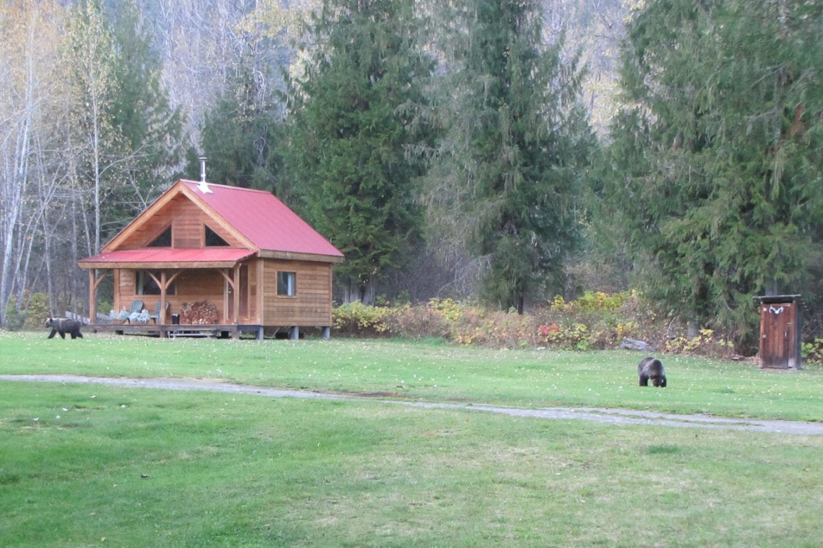 Bears outside Cascade Cabin at Wild Bear Lodge