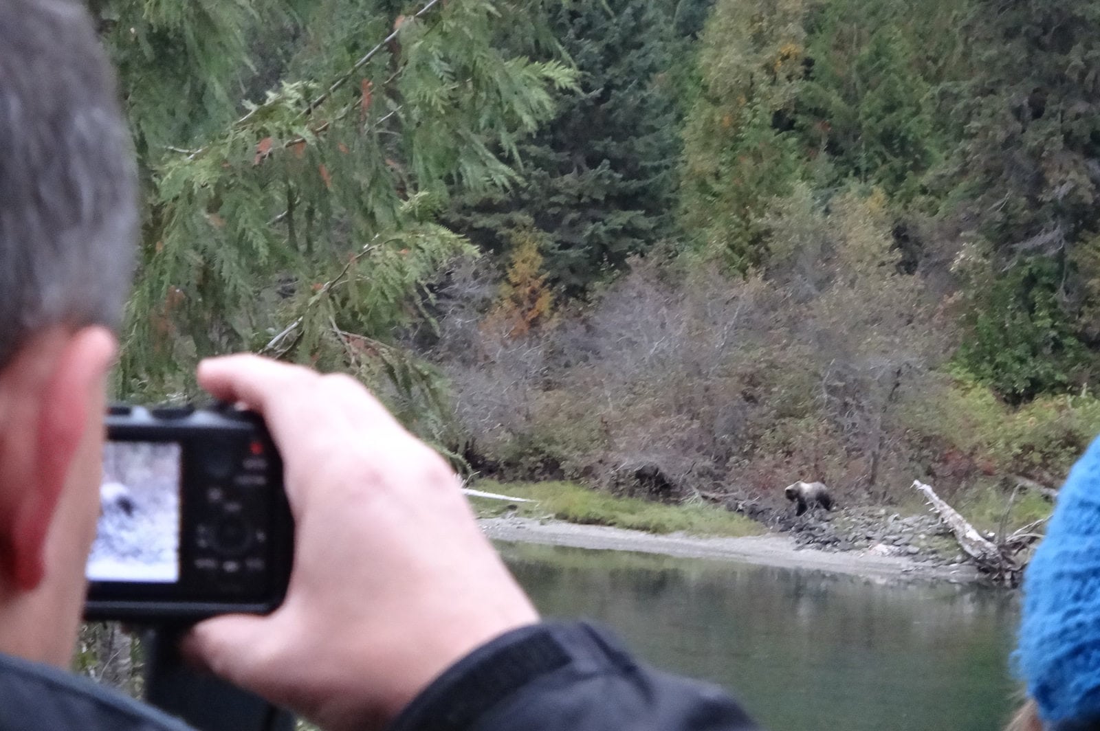 Photographing a grizzly bear at Wild Bear Lodge