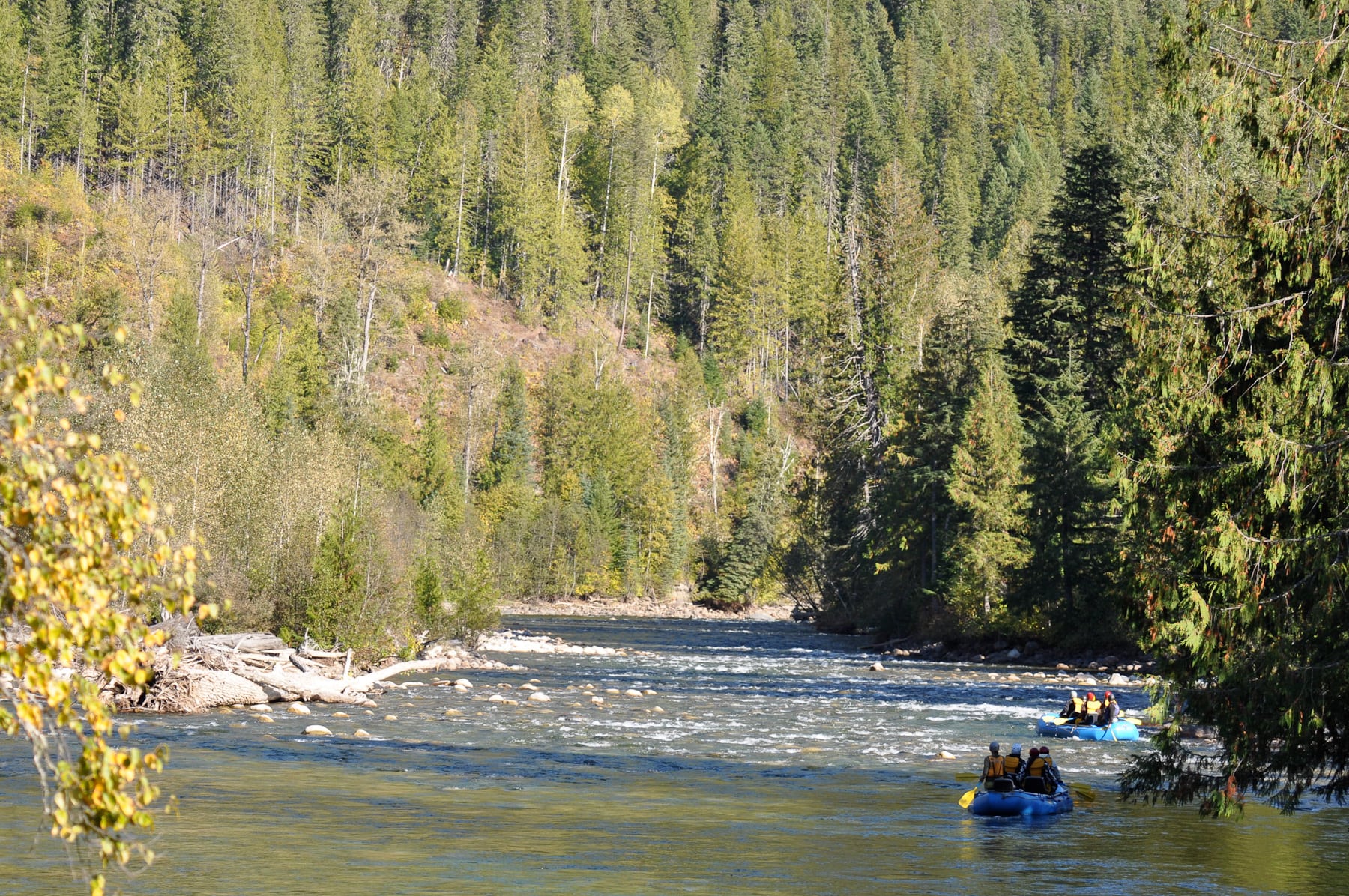Rafting the river at Wild Bear Lodge