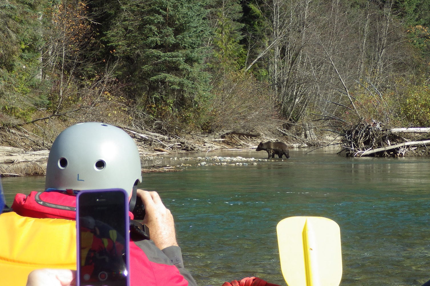 Watching a grizzly from the raft at Wild Bear Lodge