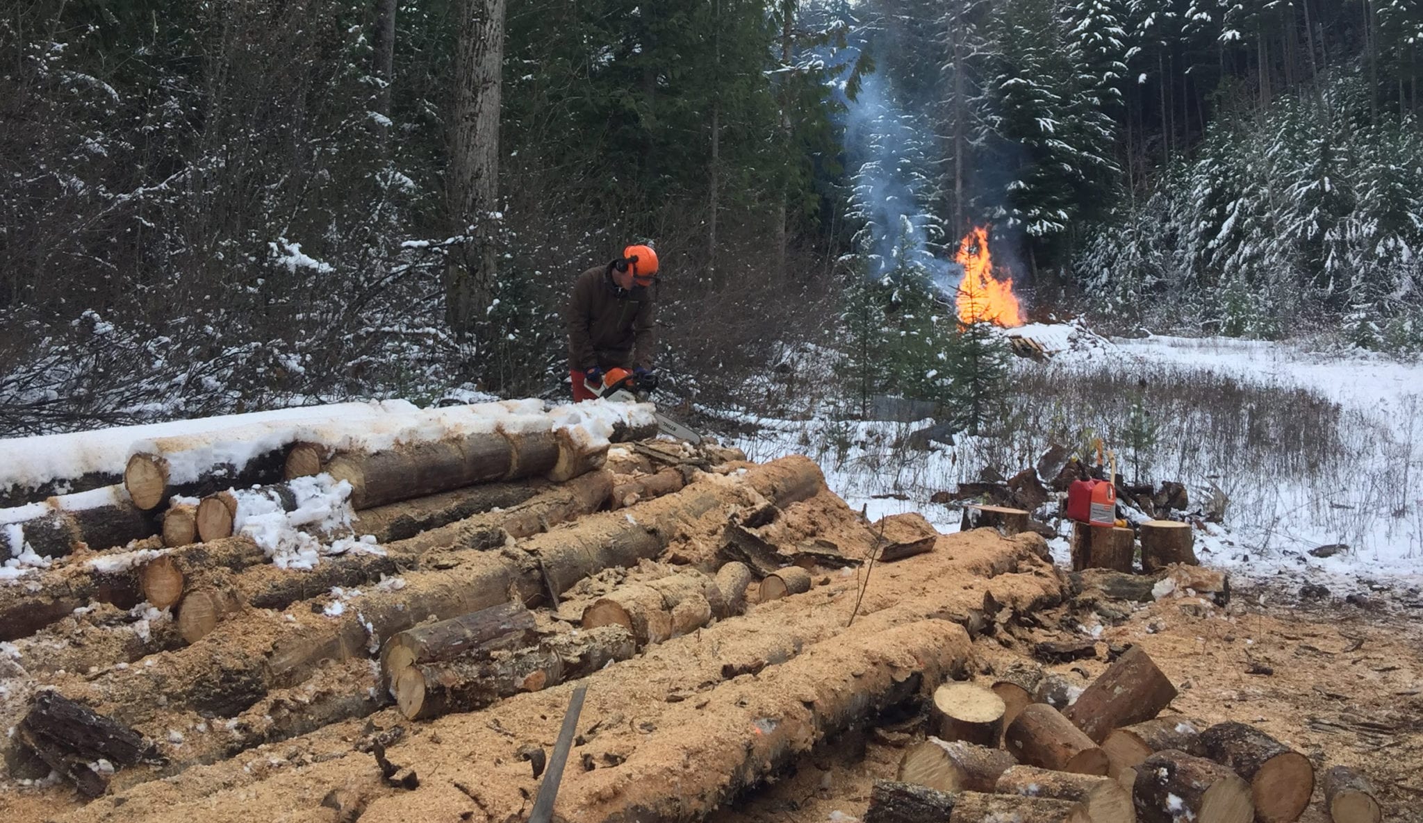 Wood Chopping at Wild Bear Lodge