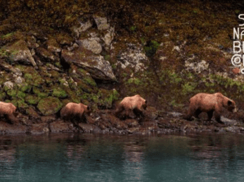 Super Natural British Columbia